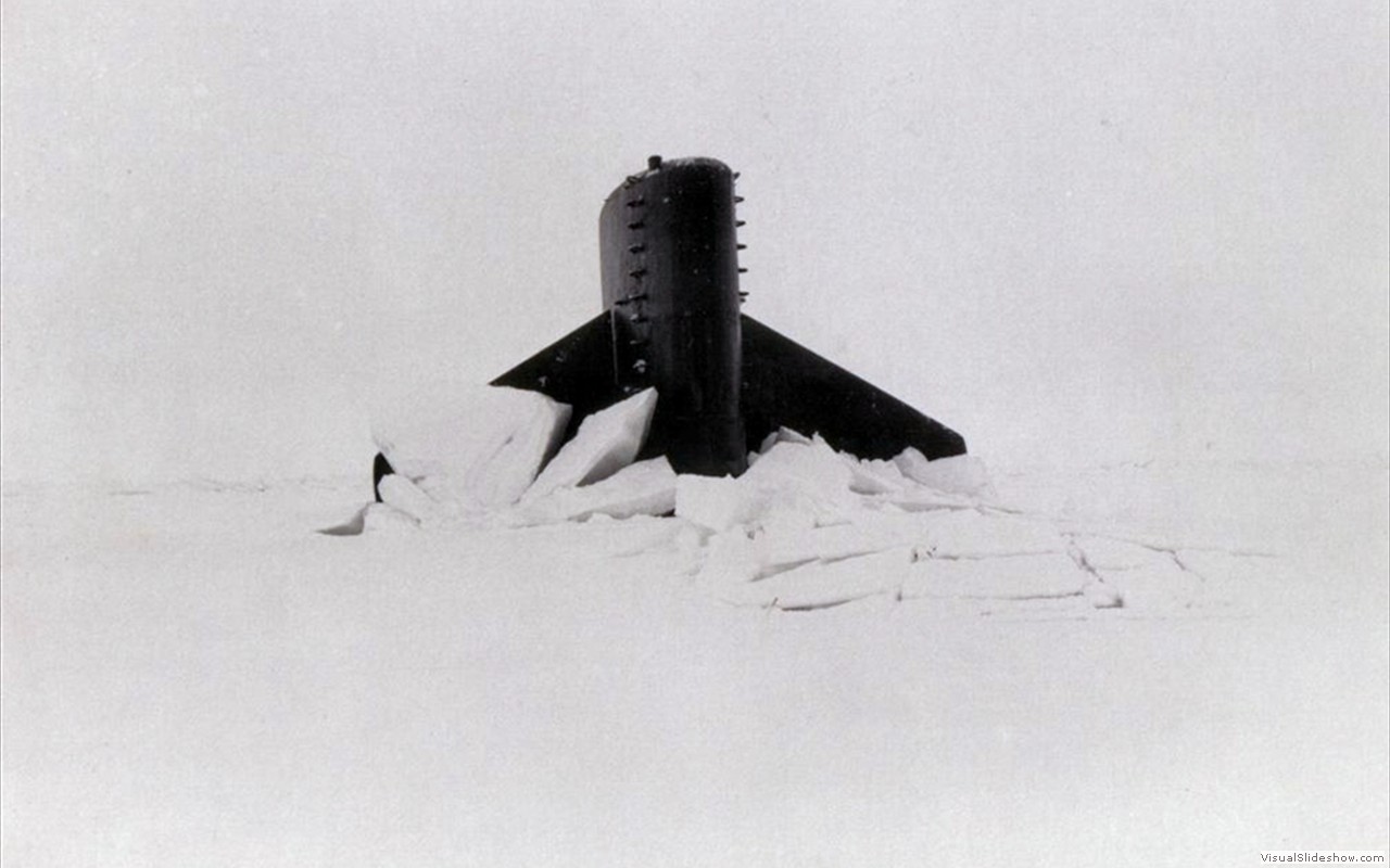 Trepang (SSN-674)-4